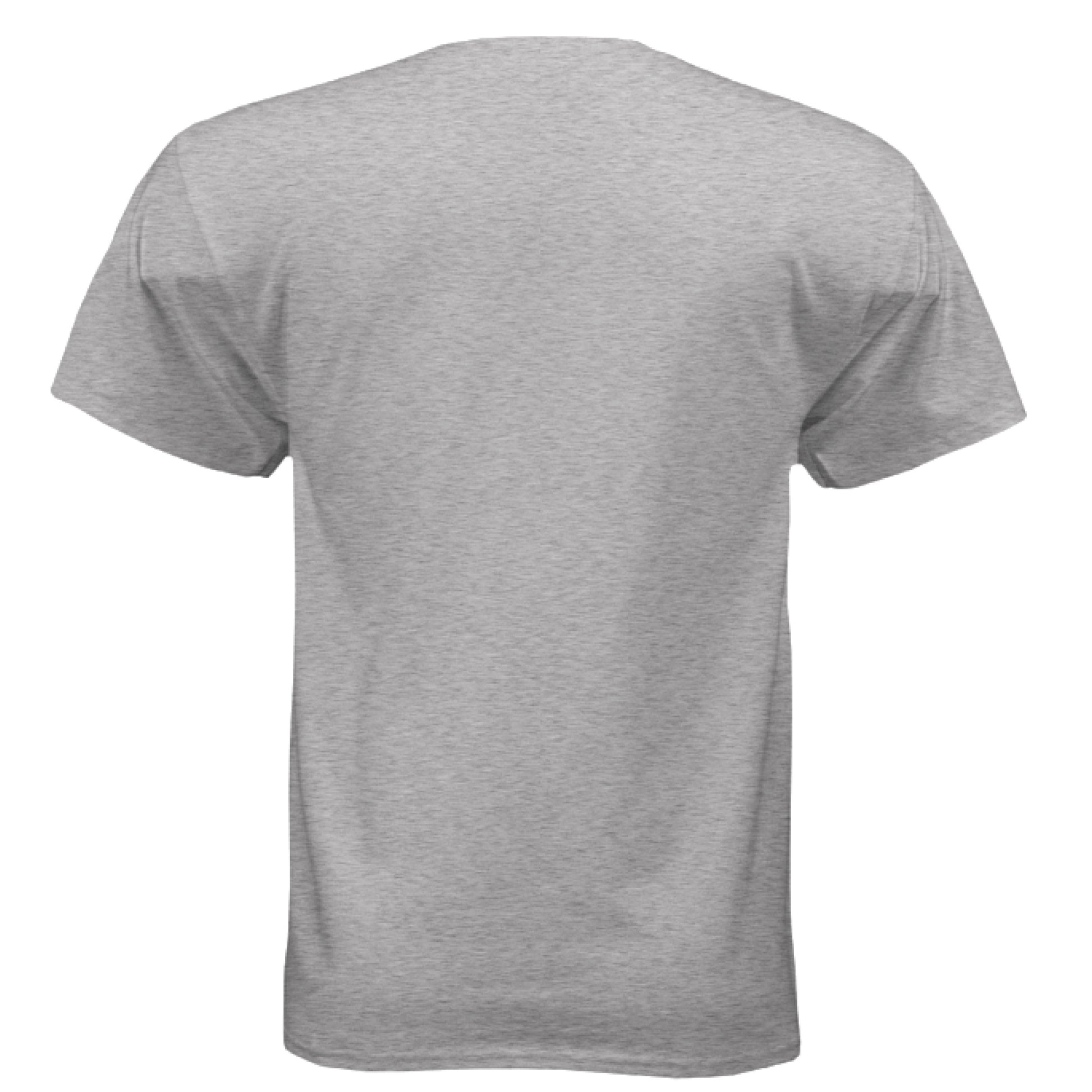 LIGHT STEEL - BACK